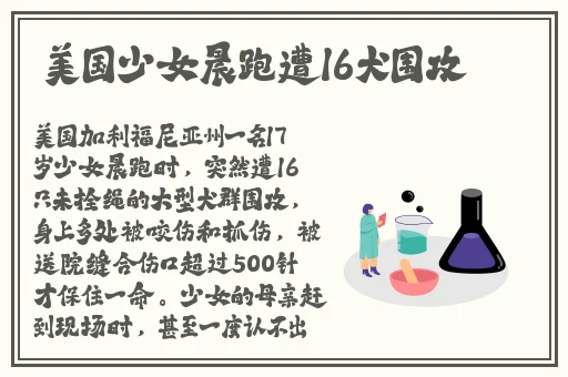 凌晨三点看的片WWW高清